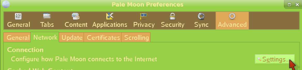 Entering Settings in the Pale Moon Network tab